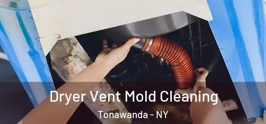 Dryer Vent Mold Cleaning Tonawanda - NY