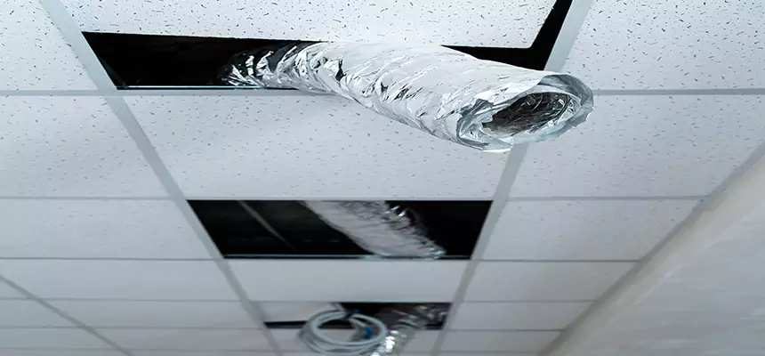 Affordable HVAC Sanitizing After Pest Removal in Tonawanda