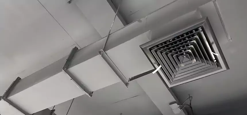 Our Rodent Droppings In Vents Services in Tonawanda, NY