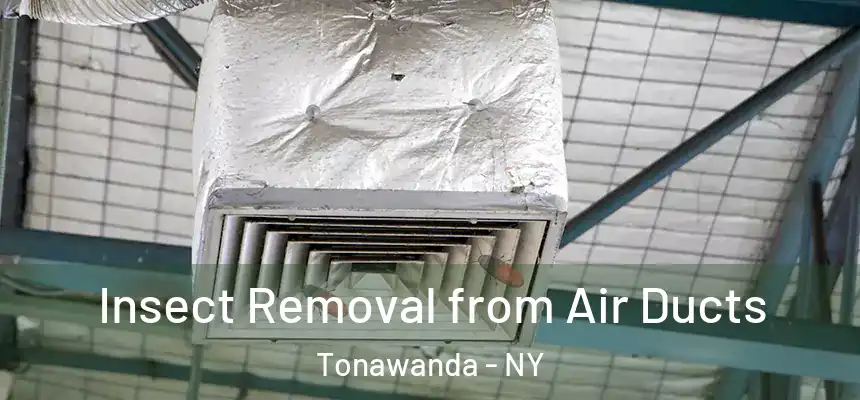 Insect Removal from Air Ducts Tonawanda - NY