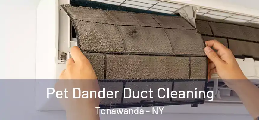 Pet Dander Duct Cleaning Tonawanda - NY
