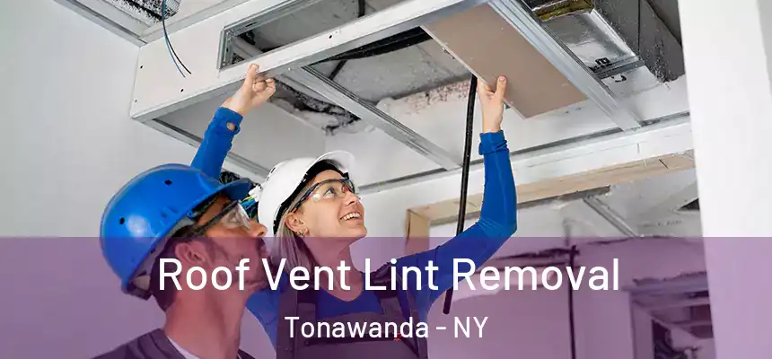 Roof Vent Lint Removal Tonawanda - NY