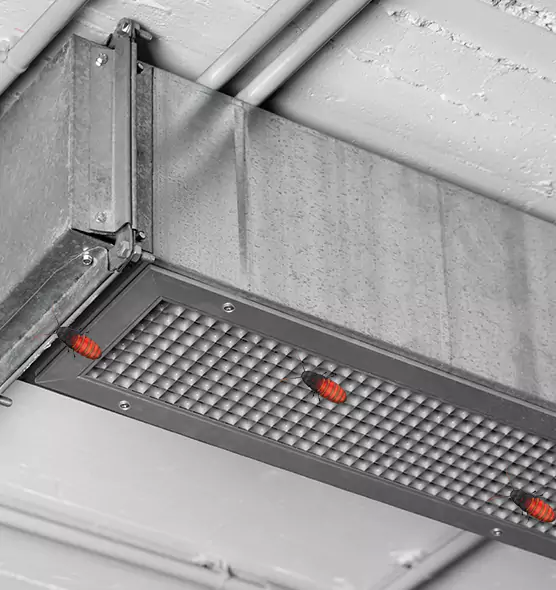 About Air Duct Cockroach Removal in Tonawanda, NY