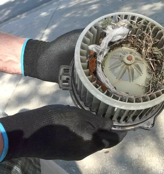 About Air Duct Rat Removal in Tonawanda, NY