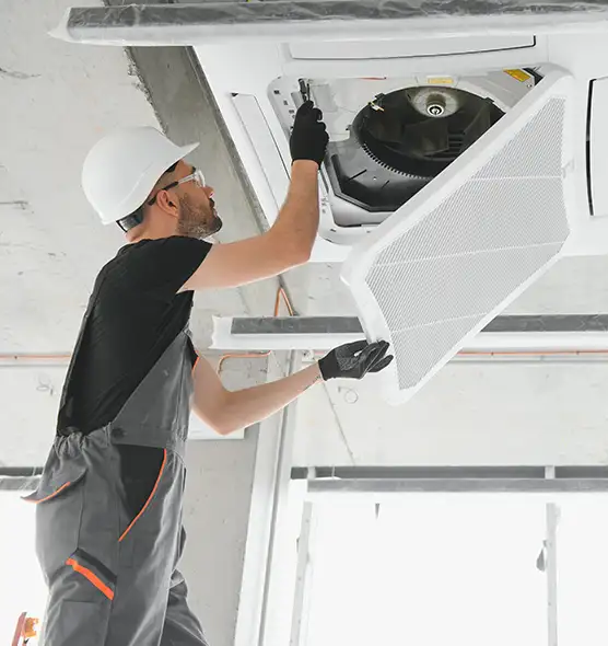 About Air Duct Rodent Removal in Tonawanda, NY