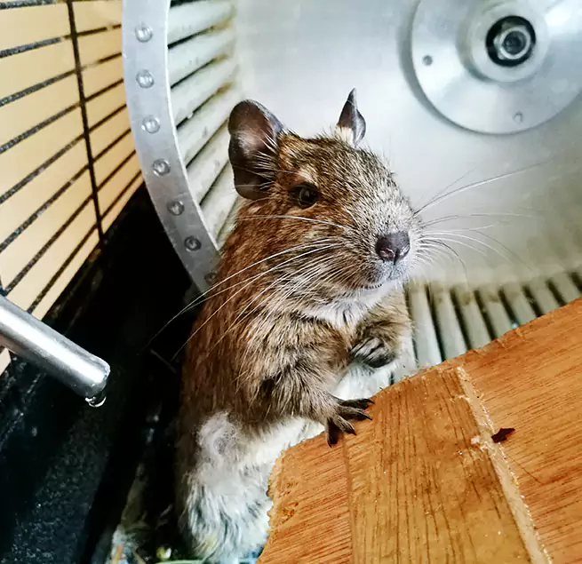 Why Homeowners & Businesses Trust Us Tonawanda, NY